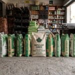 Cement bags displayed in a hardware store with different brands and Cement Price Today options.