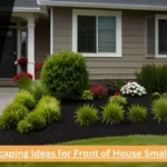 Landscaping Ideas for Front of House Small Area