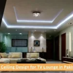 Best Ceiling Design for TV Lounge