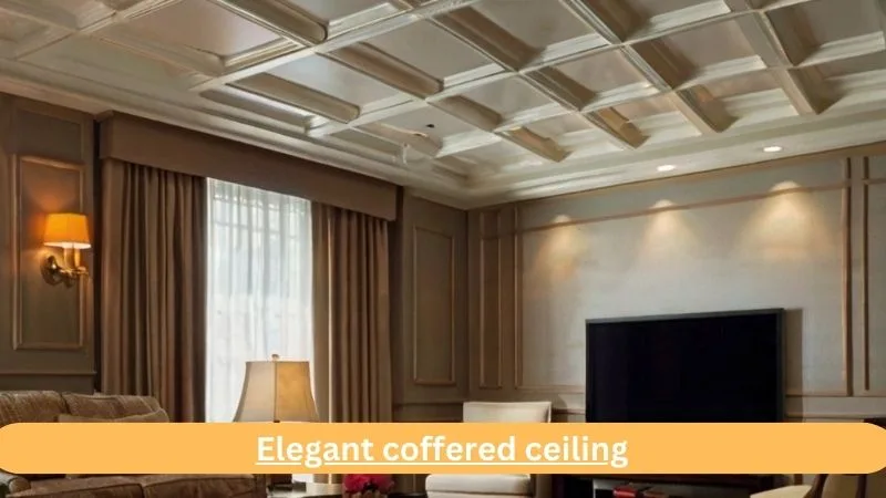 Best Ceiling Design for TV Lounge