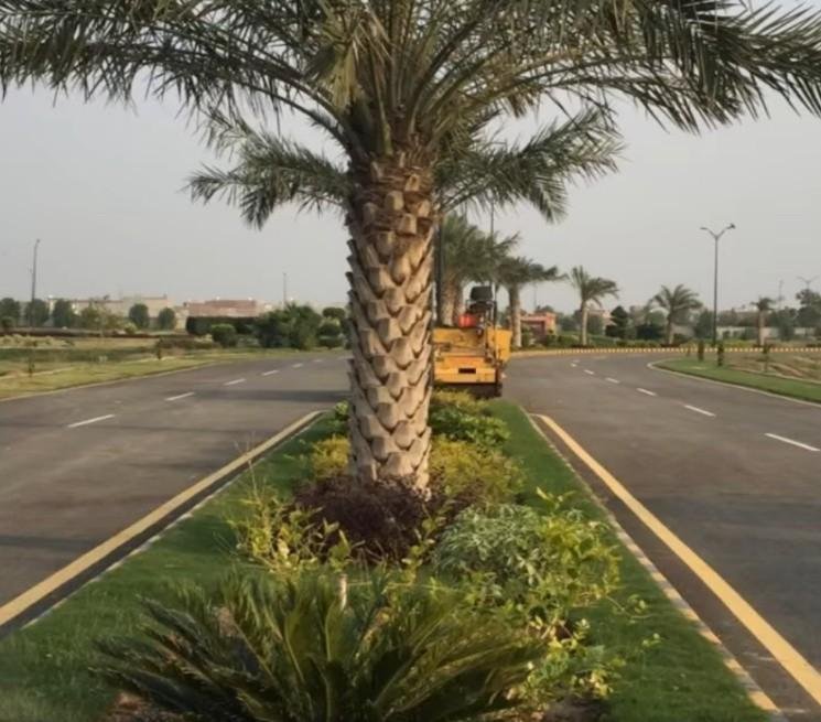 Eden Valley Faisalabad