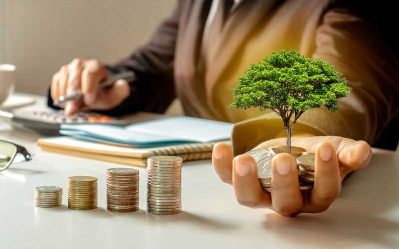 Real Estate in DHA Lahore – Businessman holding coins with a growing tree symbolizing investment and property growth.