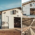 “Modern poultry control shed construction in Pakistan showing automated ventilation fans, insulated walls, and organized bird housing system.